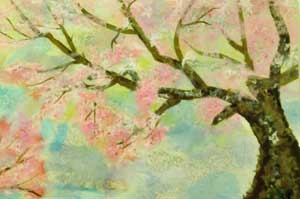 桜