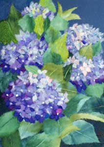 紫陽花