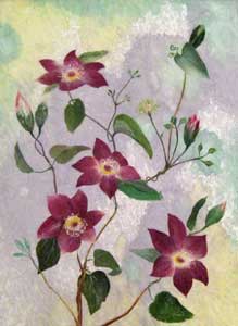 鉄線花