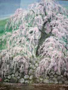しだれ桜