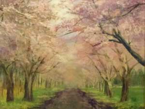 桜花の舞