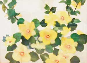 南国の花木