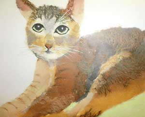 猫のトビ