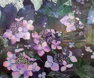 梅雨の花