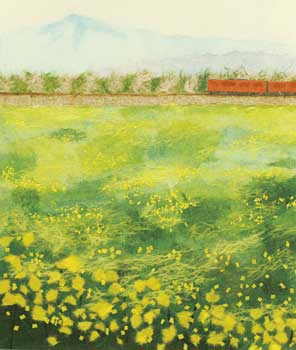 菜の花畑（習作）