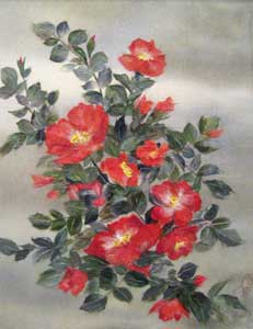 庭に咲く花