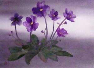 大好きな花