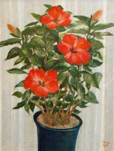 窓辺の花