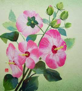 アメリカ芙蓉