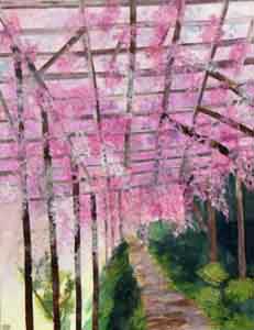 枝垂れ桜