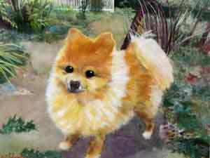 コウチャンの庭