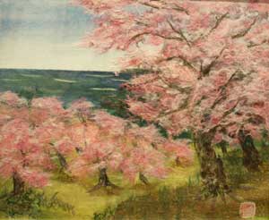 海辺の桜