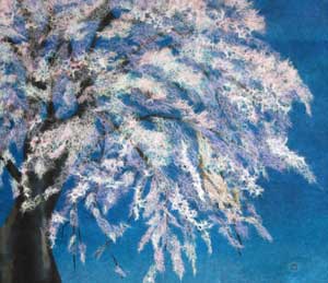 桜花爛漫