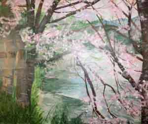 川辺の桜