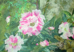 石楠花