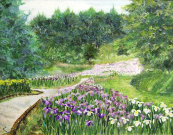 里山の花菖蒲