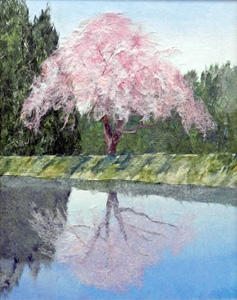 堤の一本桜