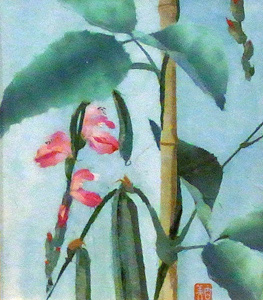 なた豆の花