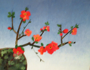 木瓜