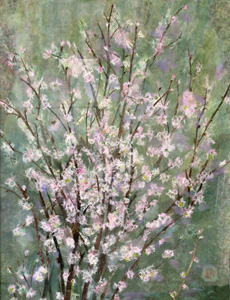 冬の桜