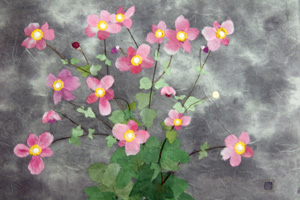 秋明菊