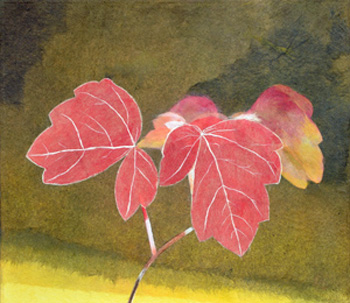 華