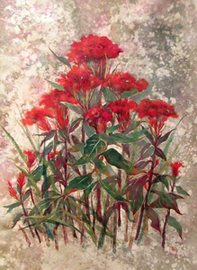 鶏頭の花