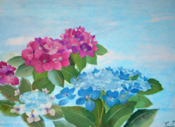 紫陽花