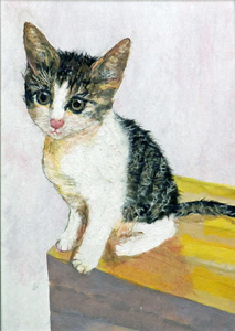 子猫「コマ」