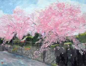 東川の桜並木