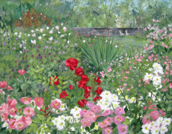 北の大地の花たち