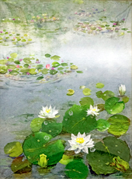 雨あがり