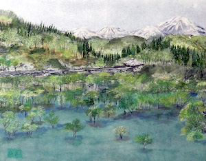 白川湖の水没林