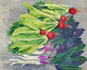 野菜
