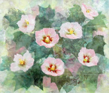 芙蓉の花