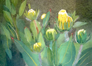 思い出の花