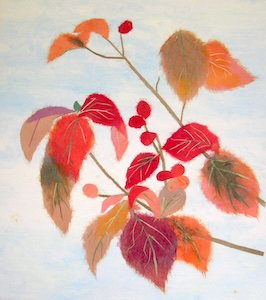 花水木（習作）
