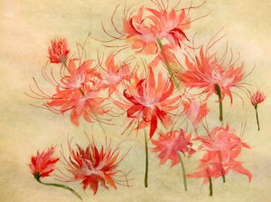 彼岸花