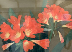 クンシラン