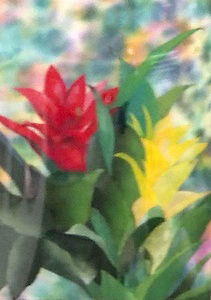 あななすの花