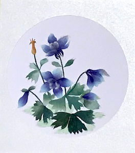 おだまき（習作）