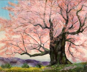 桜