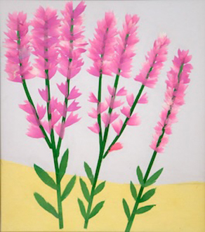 野の花