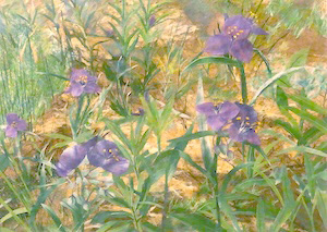 野辺の花
