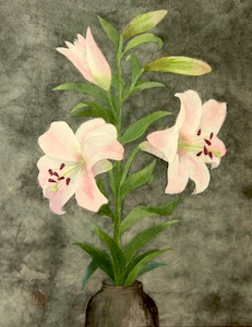 百合