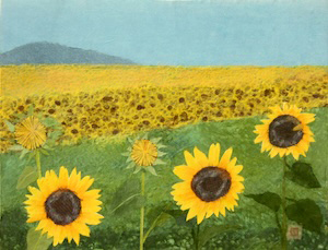 太陽の花