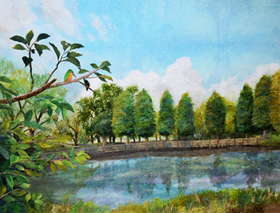 自然公園