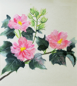 芙蓉の花