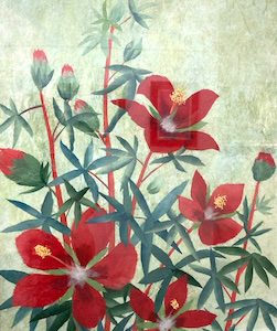 夏の華