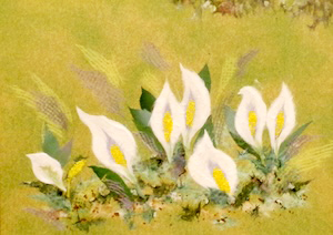 水芭蕉（習作）